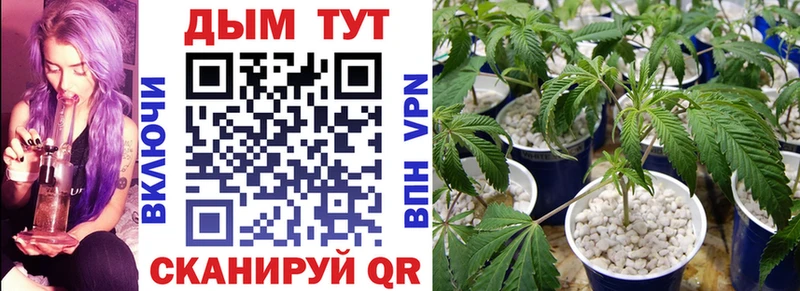 Как найти закладки Хилок Конопля АМФЕТАМИН ГАШИШ Мефедрон