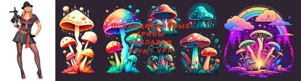 шишки Куйбышев