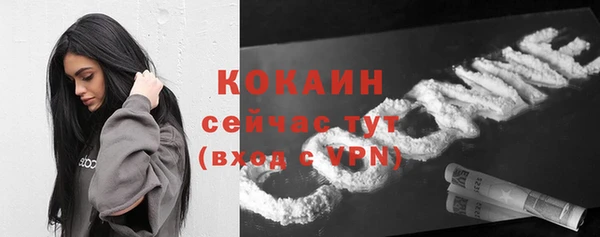 шишки Куйбышев